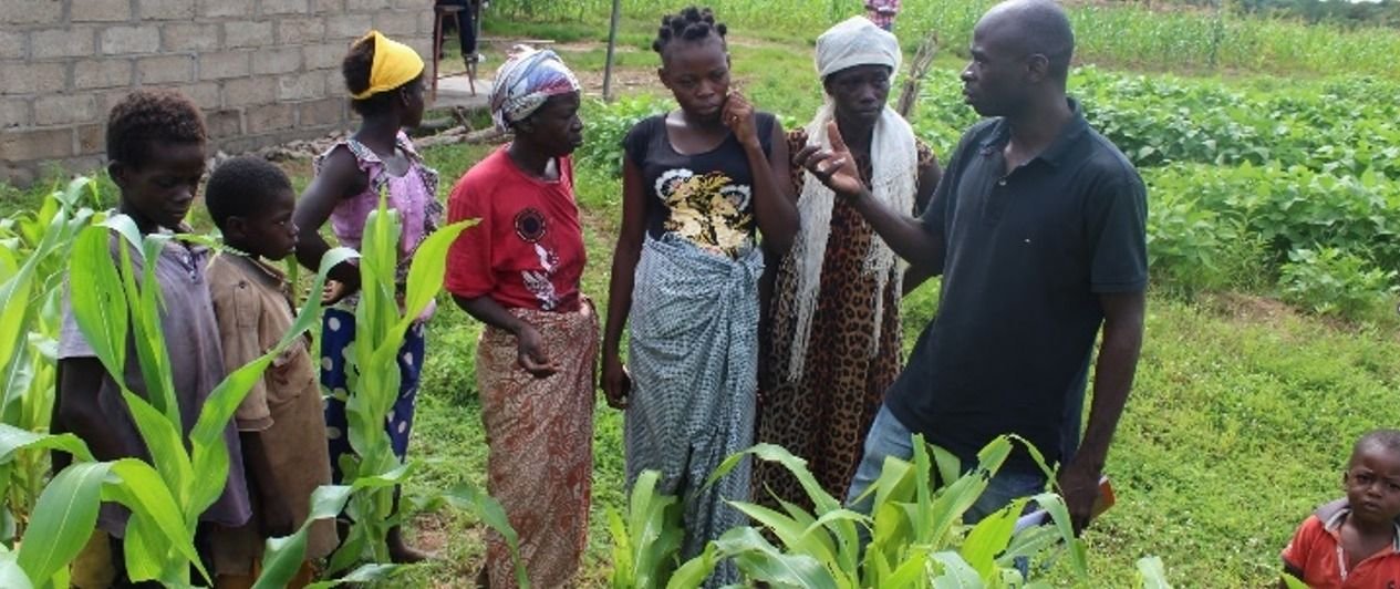 Farmers and extension officers in a maize field